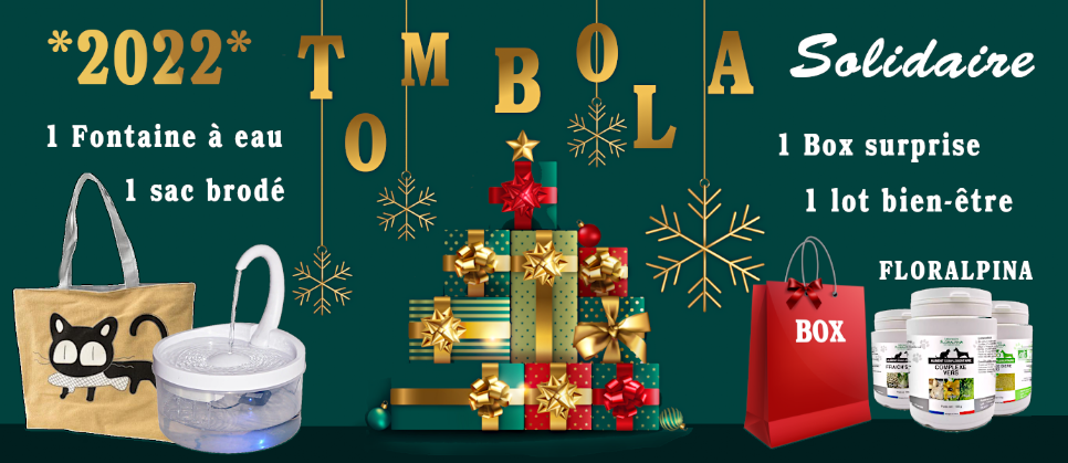 tombola de noel