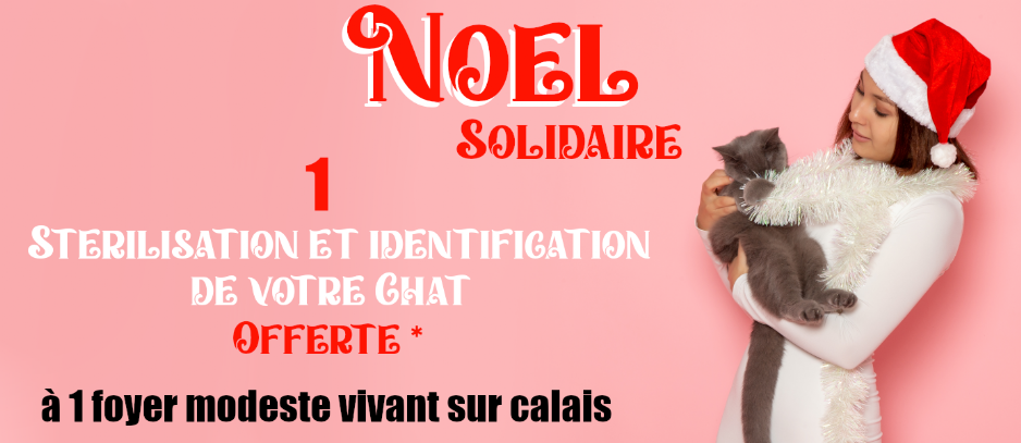 catsx-love-png